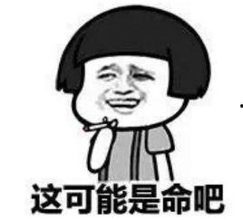 娱乐吃瓜酱被骗10块钱,揭秘网络诈骗背后的真相